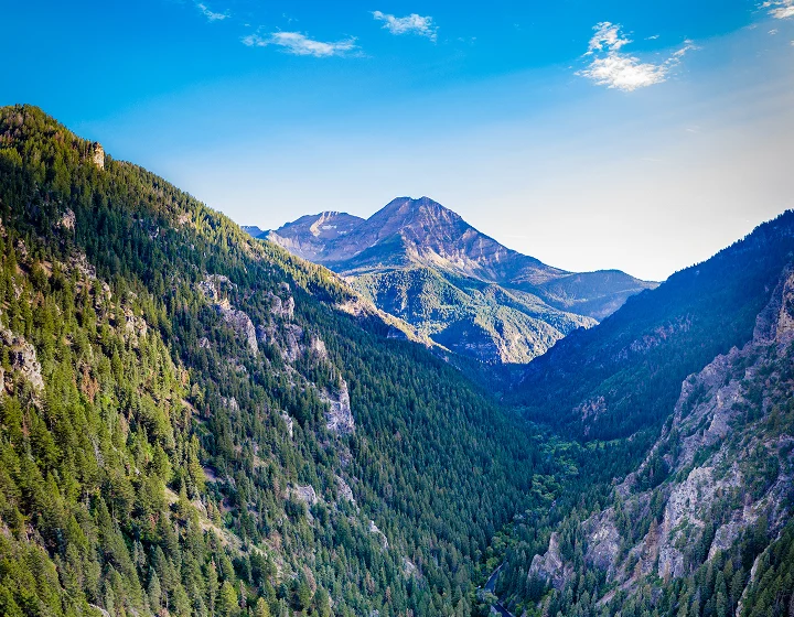 aerial view of a forest filled mountain canyon